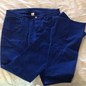Bright blue boot cut pants